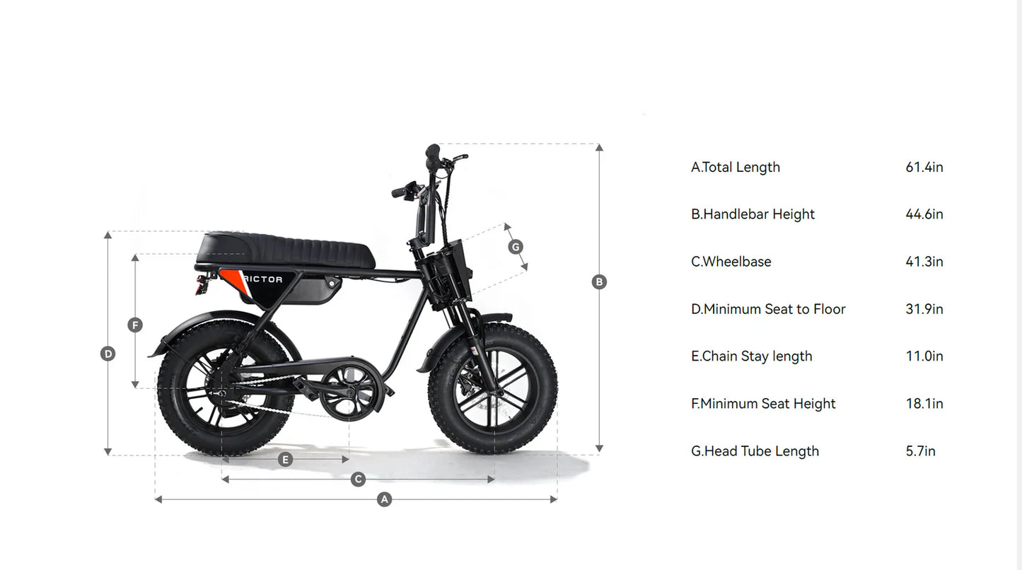 Rictor Flexx Non-IoT Ebike