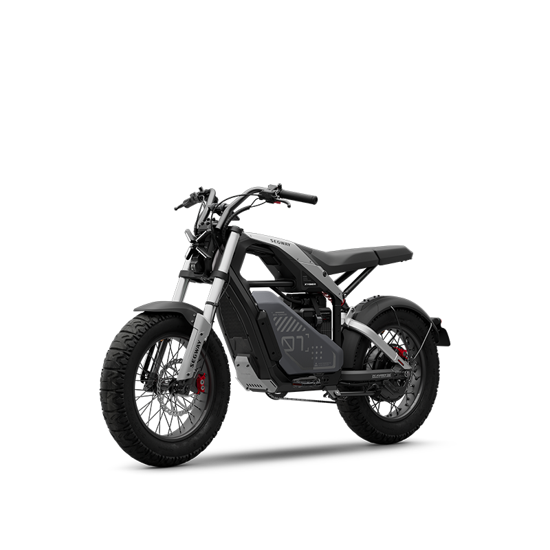 Segway Xyber