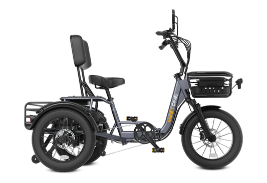 Meet One Breeze Pro Fat Tire Electric Trike