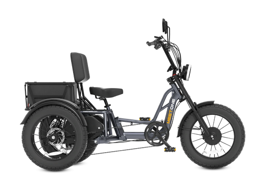 Meet One Tour Dual Motor Dual Battery Electric Trike