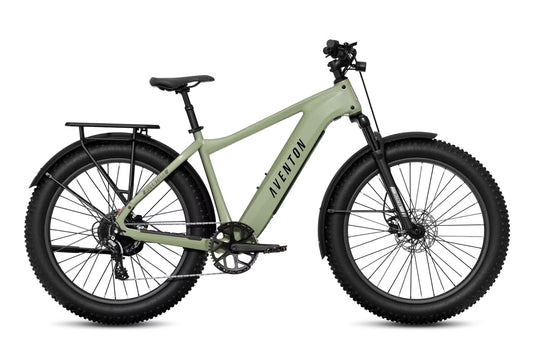 Aventon Aventure 3 Step Over