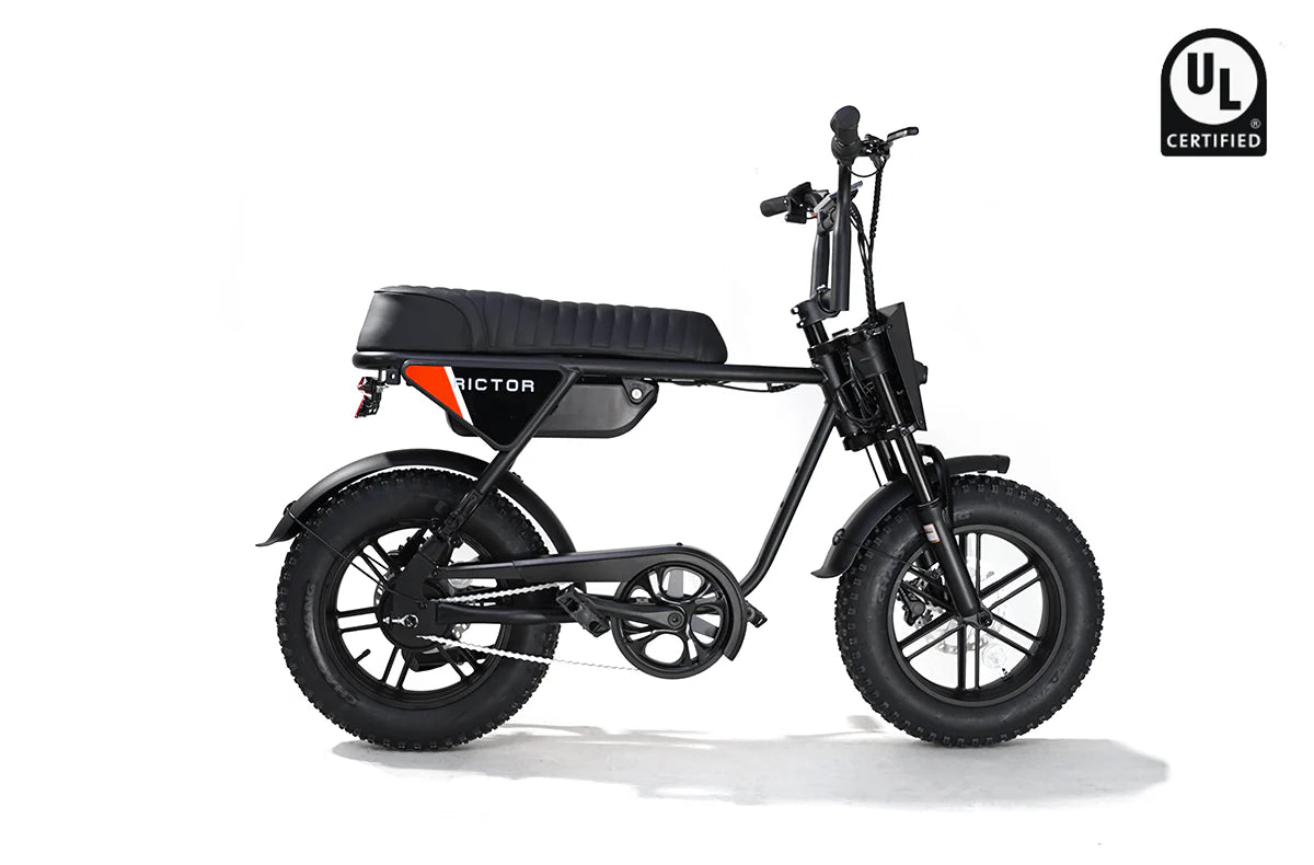 Rictor Flexx IoT Ebike