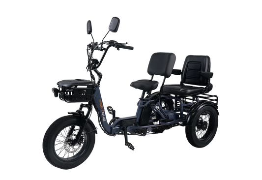 Meet One Pair Electric Trike With Passenger seat